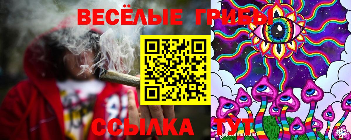 Галлюциногенные грибы Cubensis  Вход с VPN  закладка  Оренбург 